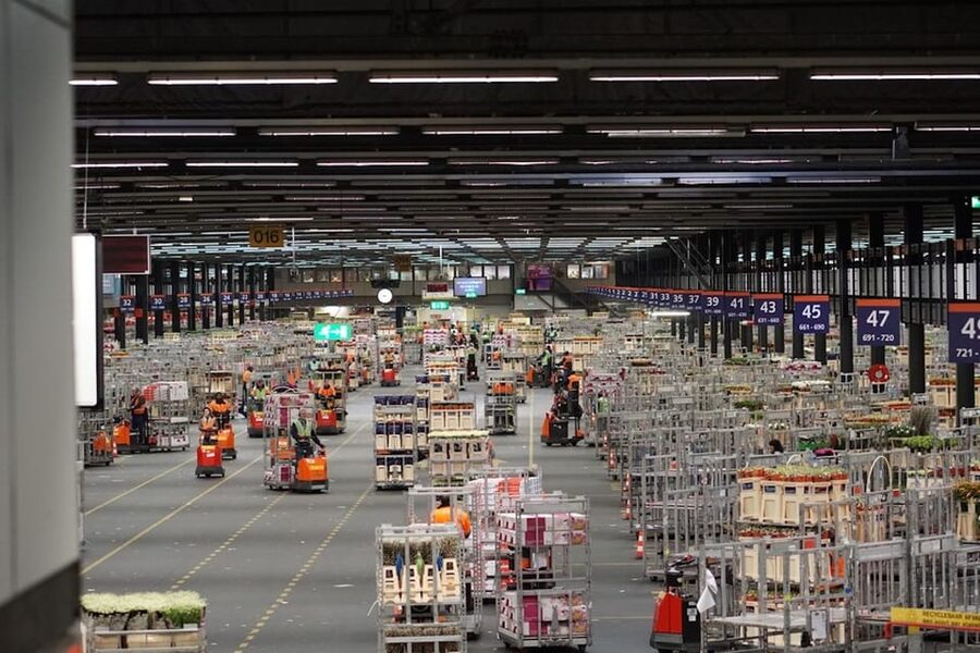 Aalsmeer: Flower Auction Royal Flora Holland Entry Ticket - The self-guided audio tour: how it works in real life