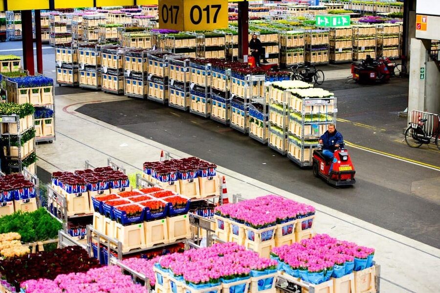 Aalsmeer: Flower Auction Royal Flora Holland Entry Ticket - What you learn about Dutch horticulture and the flower supply chain