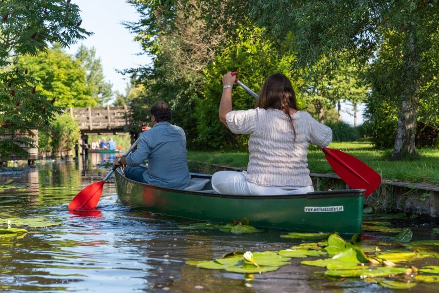 Amsterdam: 2-Hour Guided Canoe Trip - Two Hours on the Water: Village Canals, Wetlands, and Meadows