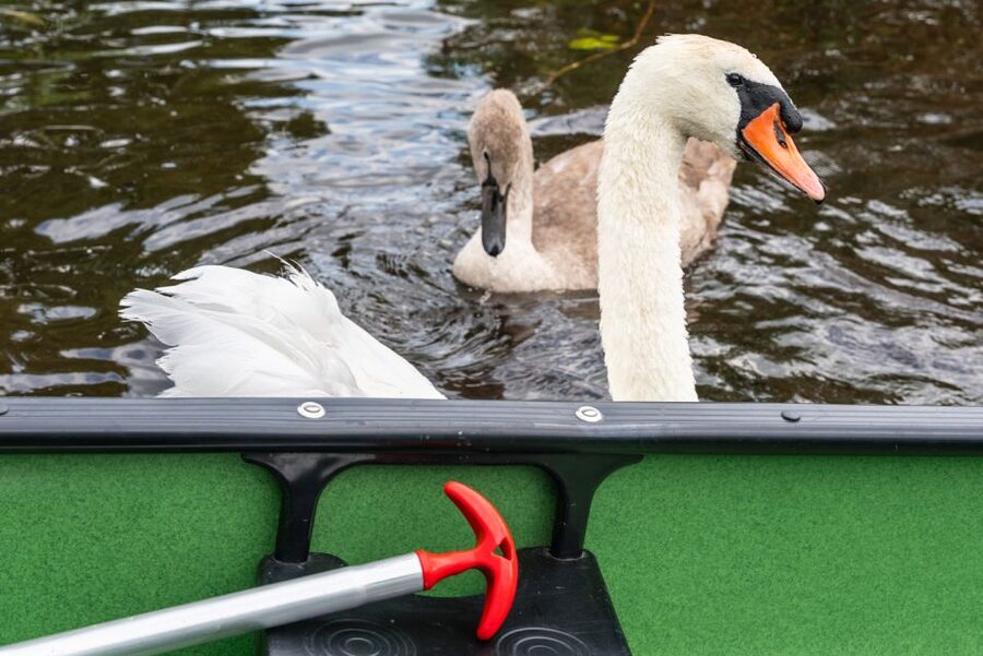 Amsterdam: 2-Hour Guided Canoe Trip - Price and Value: Is $47 Worth It?