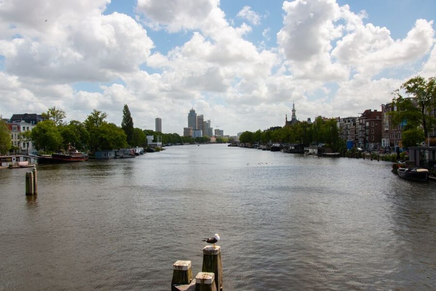 Amsterdam: 3 Course Dinner in the Dark - The Low-Stress Logistics That Make It Easier Than You Think