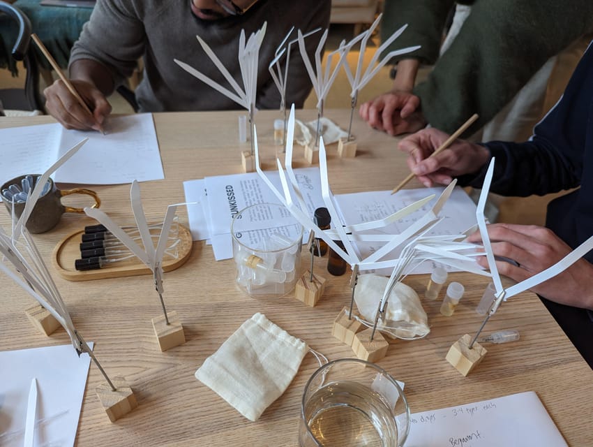 Amsterdam: 3-Hour Mindful Perfume-Making Workshop - Part 2: Perfume basics and scent science that actually makes sense