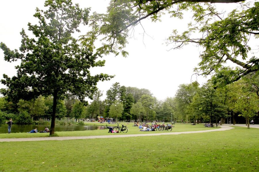 Amsterdam: 3h E-Bike Tour with break - Price and value: what your $49 is really buying