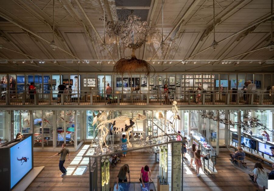 Amsterdam: ARTIS-Groote Museum Entry Ticket - Why ARTIS-Groote Feels Different From a Typical Nature Museum