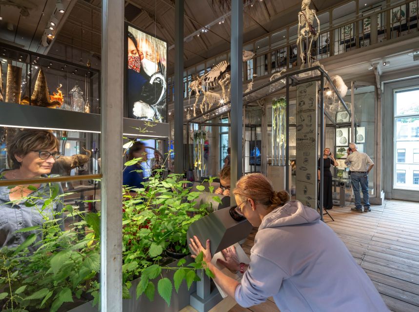 Amsterdam: ARTIS-Groote Museum Entry Ticket - Timing Your Visit in One Day: Hours, Late Thursday Time, and Seasonal Activities