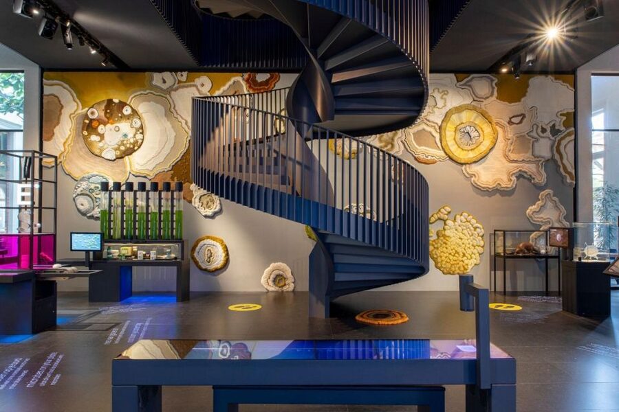 Amsterdam: ARTIS-Micropia Microbe Museum Entry Ticket - Key things that make Micropia worth your time