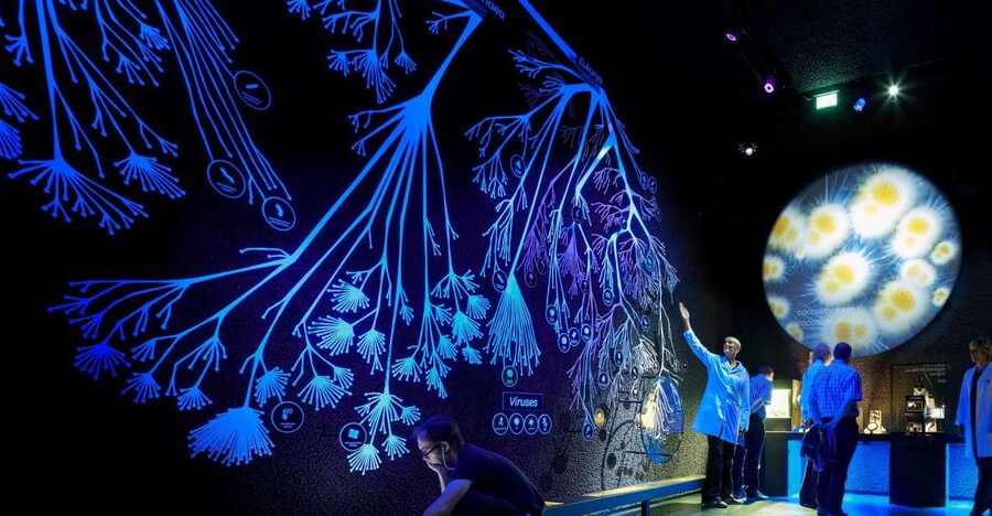 Amsterdam: ARTIS-Micropia Microbe Museum Entry Ticket - Living displays, microscopes, and the cool factor you can bring back home