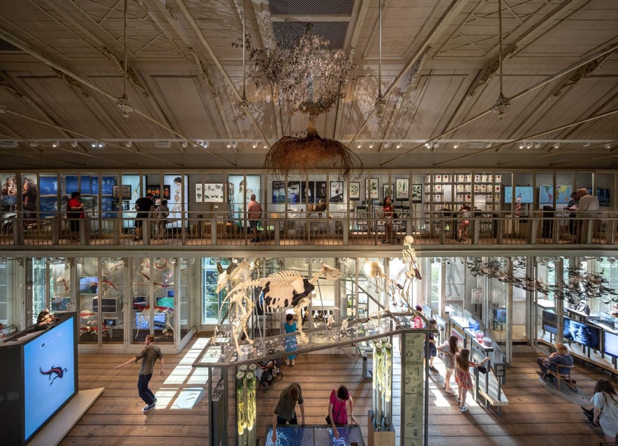 Amsterdam: ARTIS Royal Zoo and ARTIS Groote Museum Ticket - A smoke-free, organized day in a historic zoo setting