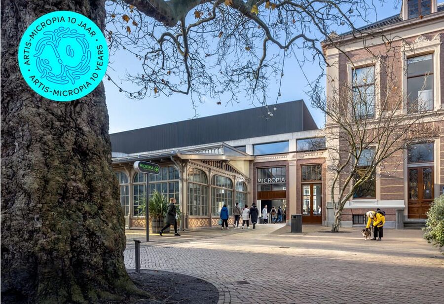 Amsterdam: Artis Royal Zoo & ARTIS-Micropia Combo Ticket - Kerbertterras Madagascar area, plus otters and the animal habitats you’ll remember
