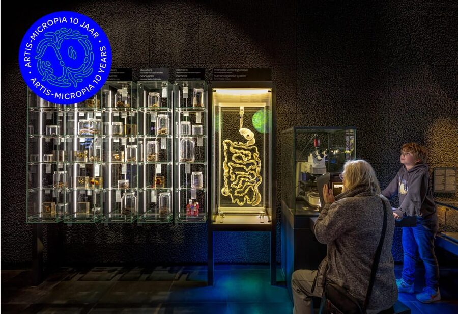Amsterdam: Artis Royal Zoo & ARTIS-Micropia Combo Ticket - After-hours calm, if they are running it on your date