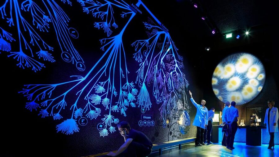 Amsterdam: Artis Royal Zoo & ARTIS-Micropia Combo Ticket - ARTIS-Micropia: seeing microbes you cannot avoid