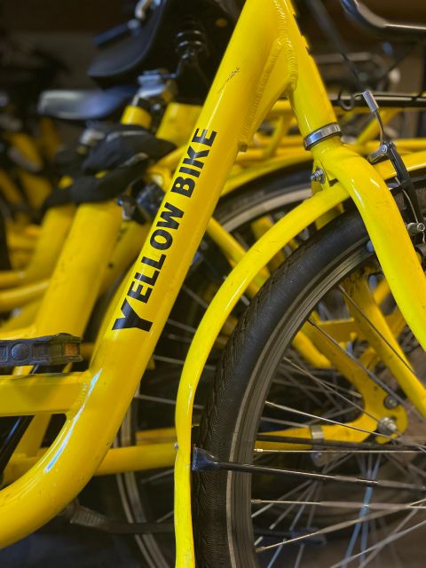 Amsterdam Bike Rental: Central Station & City Center - Price and value: is $10 per person a deal or a trap?