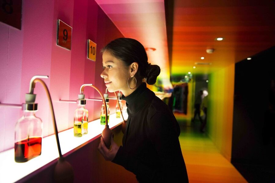 Amsterdam: Bols Cocktail Experience and Cocktail Workshop - Price and value: is $41 per person a fair deal?