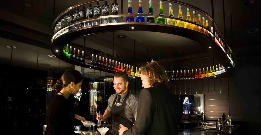 Amsterdam: Bols Cocktail Experience and Cocktail Workshop - Who this suits best, and who should choose something else
