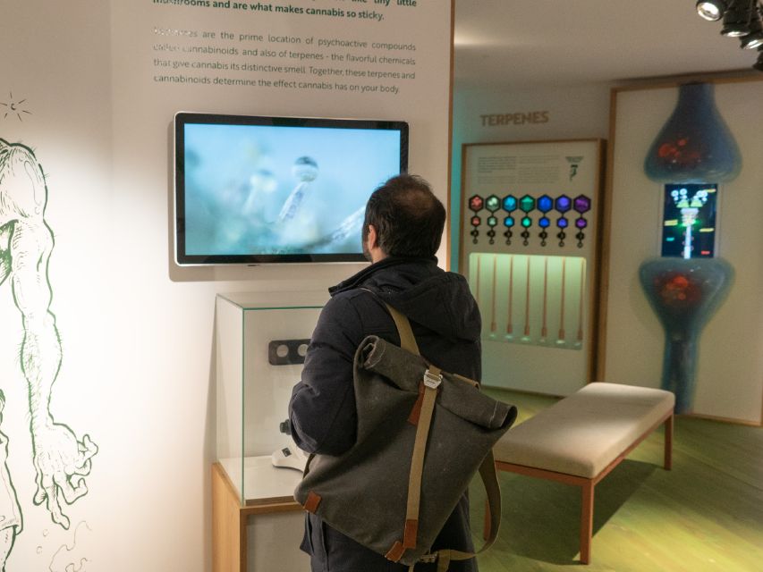 Amsterdam: Cannabis Museum Entry Ticket - Why This Cannabis Museum Ticket Works in Amsterdam