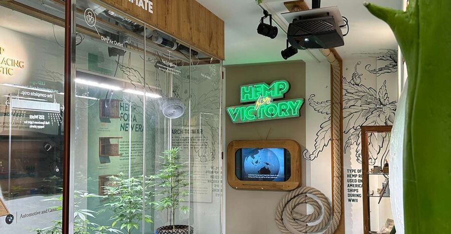 Amsterdam: Cannabis Museum Entry Ticket - Price and Timing: Plan for 45 Minutes, Arrive Before 9 PM