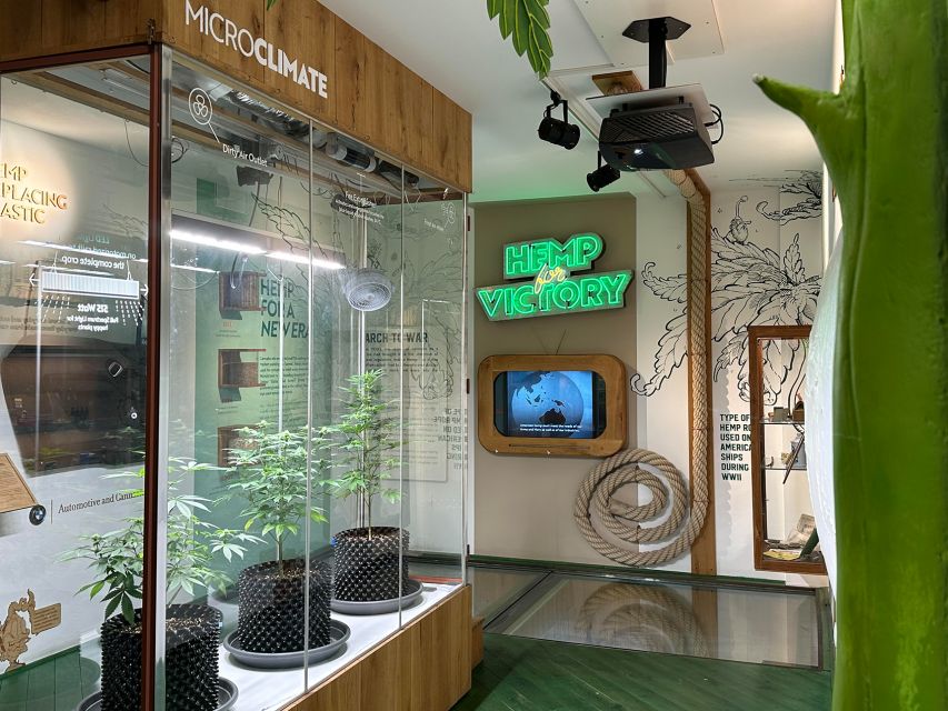 Amsterdam: Cannabis Museum Entry Ticket - Floor by Floor: What You Actually Do Inside