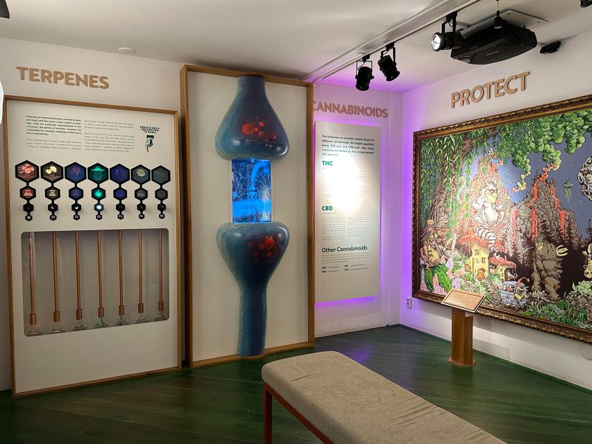 Amsterdam: Cannabis Museum Entry Ticket - Staff Help and What to Ask Them in Amsterdam Terms