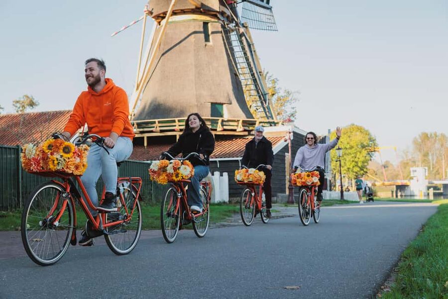 Amsterdam: Cheese, Windmill & Countryside Bike Tour - Farm Visit: Cows, Sheep, and Baby Lambs Up Close