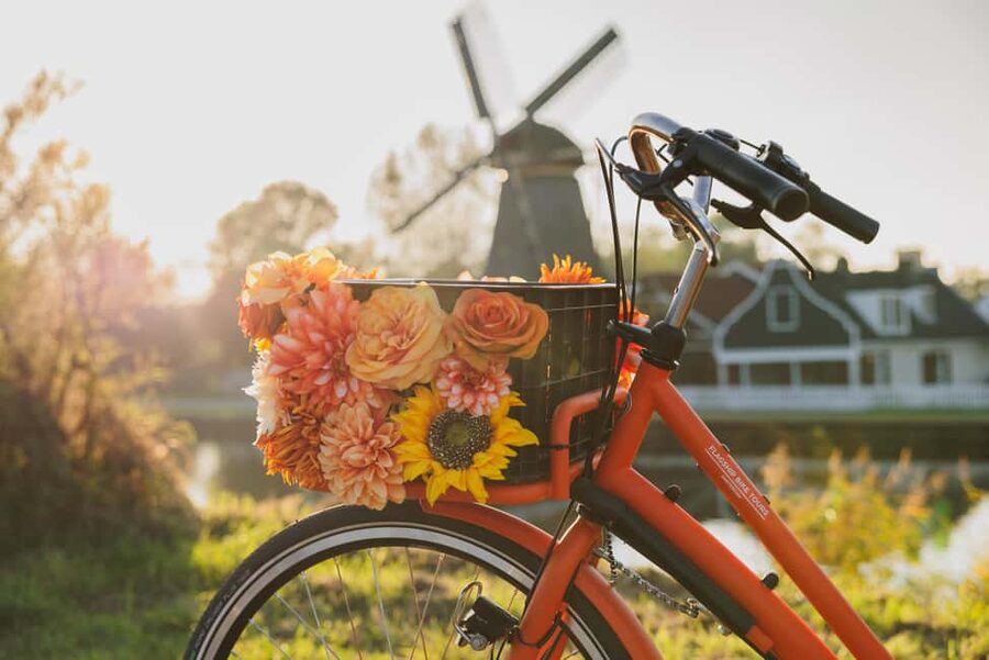 Amsterdam: Cheese, Windmill & Countryside Bike Tour - Price and Value: What You Really Get for $44