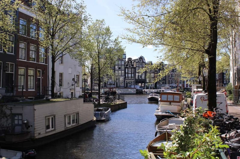 Amsterdam: City walking experience with a local - Price and Value: What $28 Buys in Two Hours