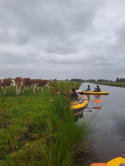 Amsterdam: Countryside Bike and Kayak Guided Tour - Key points before you go