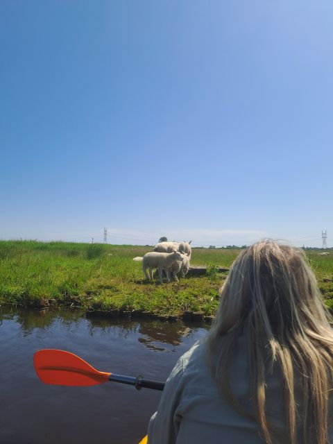 Amsterdam: Countryside Bike and Kayak Guided Tour - Meeting at ADAM Lookout, then leaving the city fast