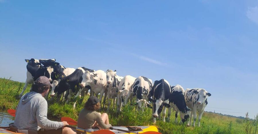 Amsterdam: Countryside Bike and Kayak Guided Tour - Pedaling into North Holland: the part that feels like you escaped