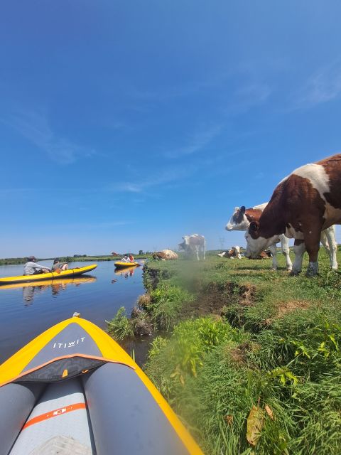 Amsterdam: Countryside Bike and Kayak Guided Tour - Kayaking in Broek in Waterland: the calm contrast