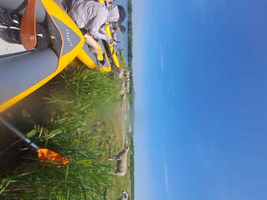 Amsterdam: Countryside Bike and Kayak Guided Tour - The village break: lunch and a slower hour off the water