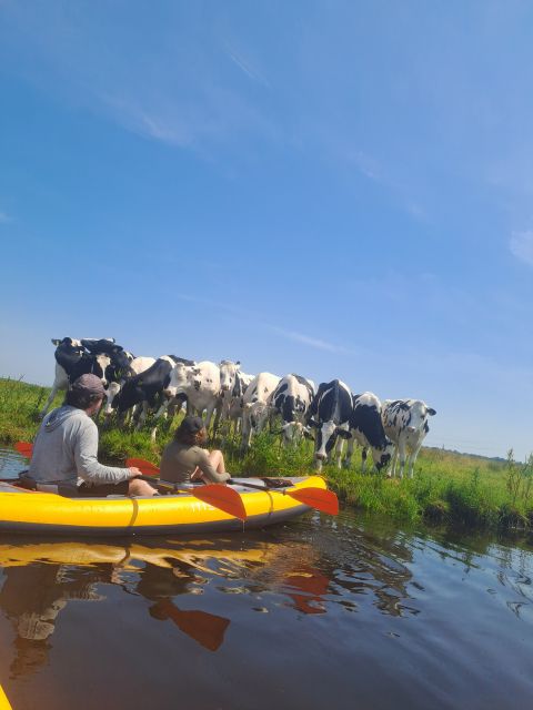Amsterdam: Countryside Bike and Kayak Guided Tour - Bike back to Amsterdam-Noord: the last leg feels like closure