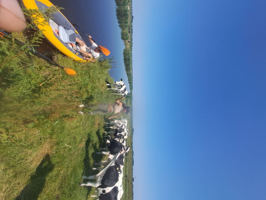 Amsterdam: Countryside Bike and Kayak Guided Tour - Price and value: why $84 feels fair for what you get
