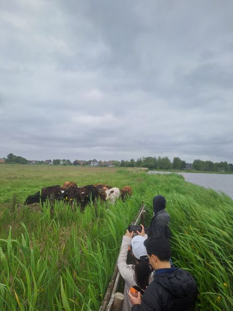 Amsterdam: Countryside Bike and Kayak Guided Tour - dAdmiraal Windmill: more than a quick snapshot