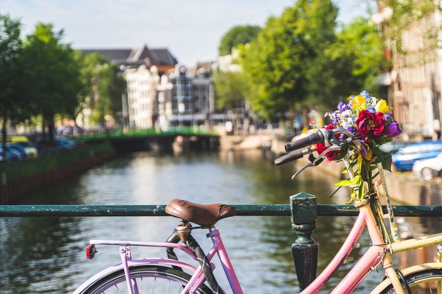Amsterdam: Countryside Bike Tour - Price and value: $41 for 2.5 hours with a bike and a guide