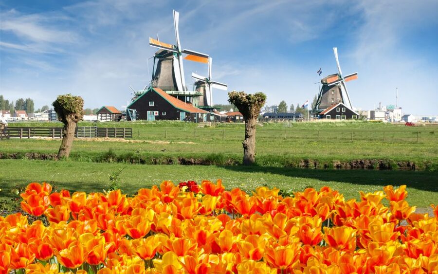 Amsterdam: Day Tour Keukenhof and Zaanse Schans Windmills - Who this Keukenhof and Zaanse Schans day trip fits best