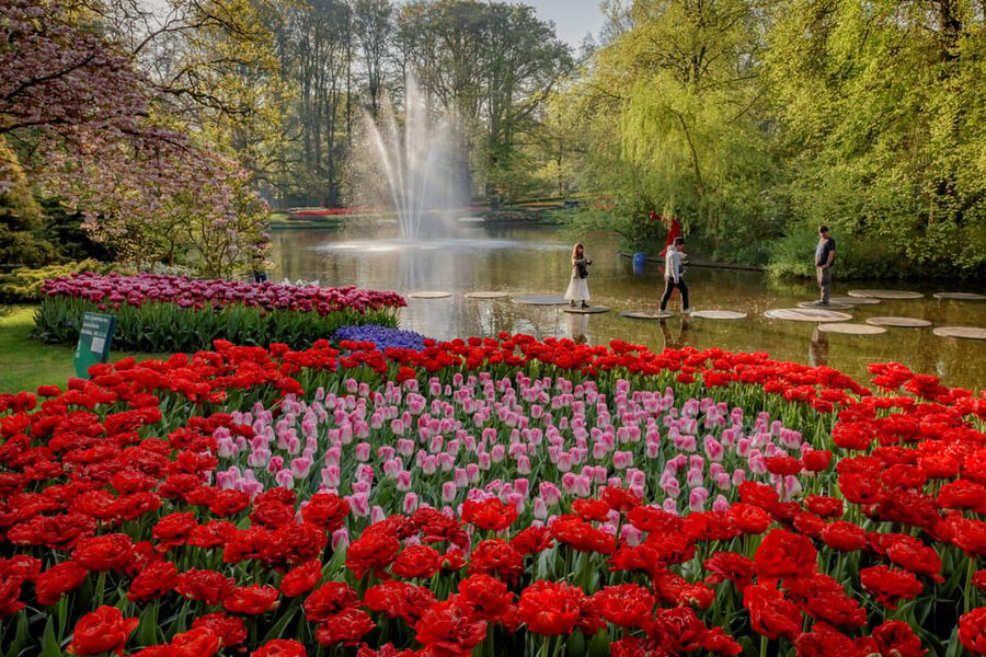 Amsterdam: Day Tour Keukenhof and Zaanse Schans Windmills - FAQ