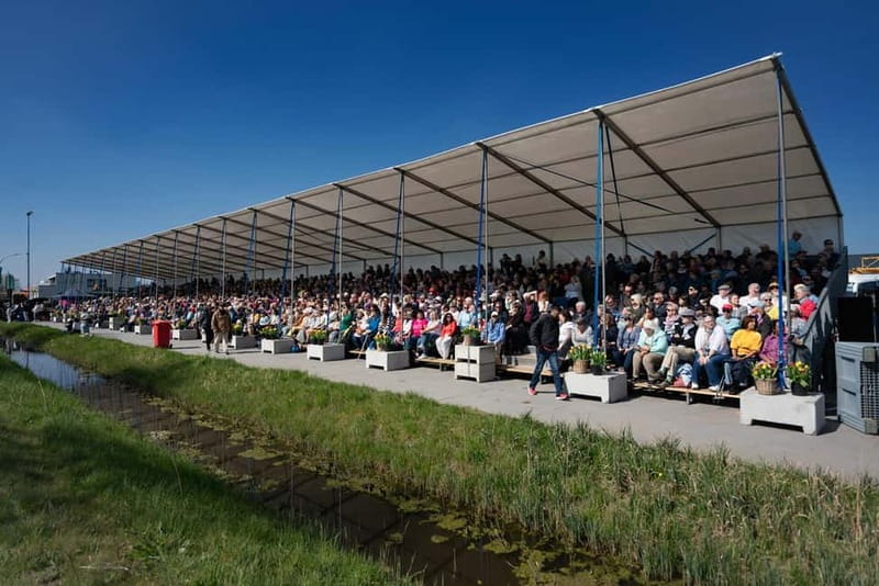 Amsterdam: Day Trip to Flower Parade & Keukenhof on April 18 - Flower Parade Day in South Holland, without the stress