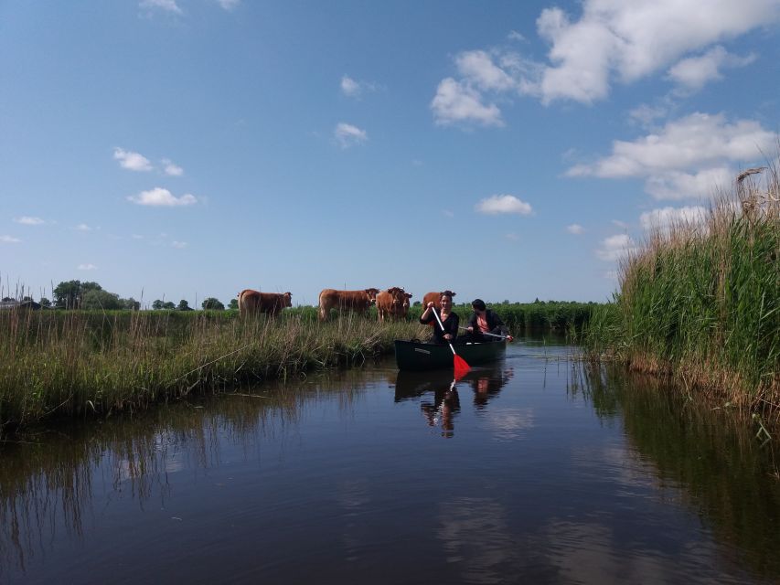 Amsterdam: Dutch Countryside Sunset Canoe Tour - Quick planning tips so your evening goes smoothly