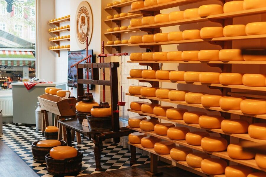 Amsterdam: Food and Culture Walking Tour with Tastings - Who should book this tour, and who might not enjoy it