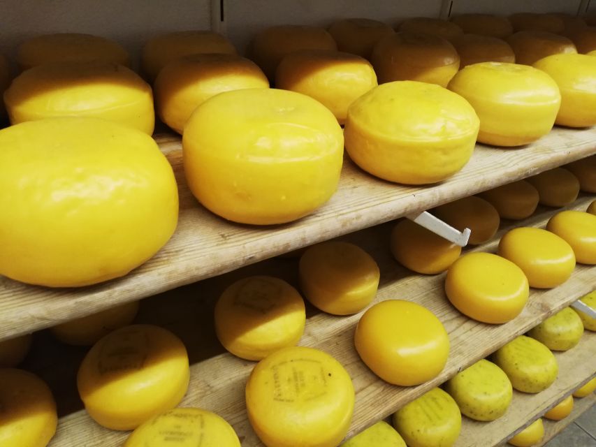 Amsterdam: Full-Day Countryside Tour - Why This North Holland Day Trip Feels Personal Instead of Rushed