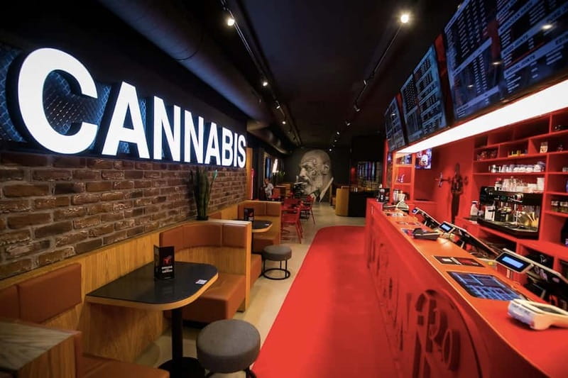 Amsterdam: Guided Ganja Walking Tour of Coffee Shops - The Dutch bar break and how the food part changes the tone
