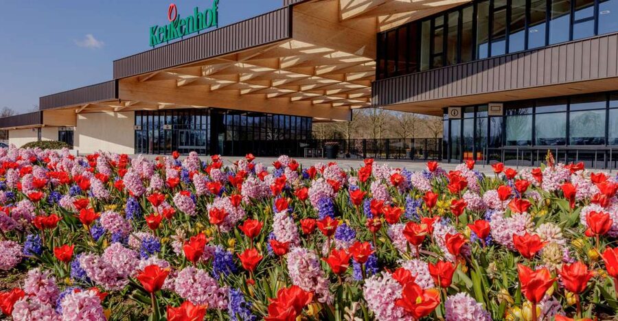 Amsterdam: Half-Day Flower Fields and Keukenhof Bicycle Tour - Key points to know before you go