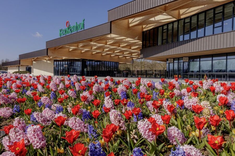 Amsterdam: Half-Day Flower Fields and Keukenhof Bicycle Tour - Why This Amsterdam to Keukenhof Bike Tour Fits Spring Better Than a Bus Day