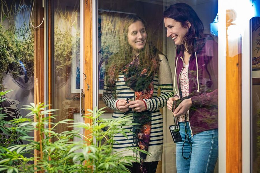 Amsterdam: Hash, Marihuana, and Hemp Museum Entry Ticket - How long you should plan, and how to pace your visit