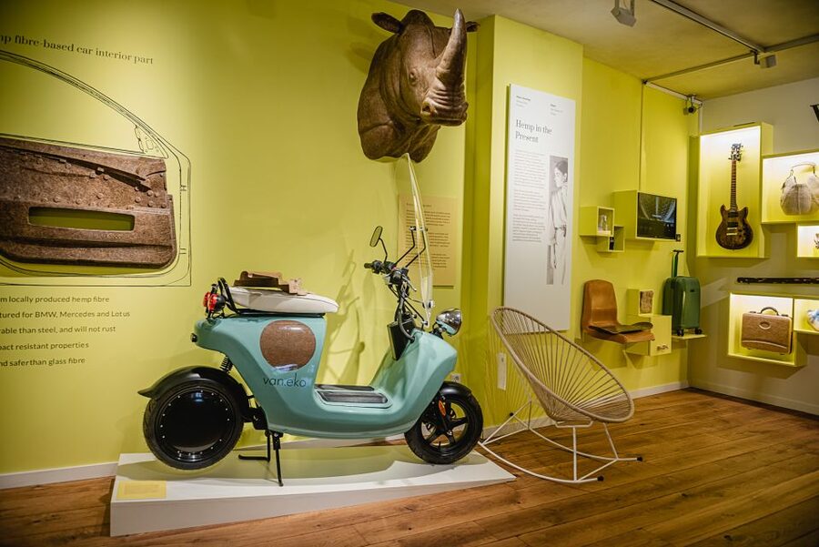 Amsterdam: Hash, Marihuana, and Hemp Museum Entry Ticket - Should you book this Amsterdam cannabis museum ticket?