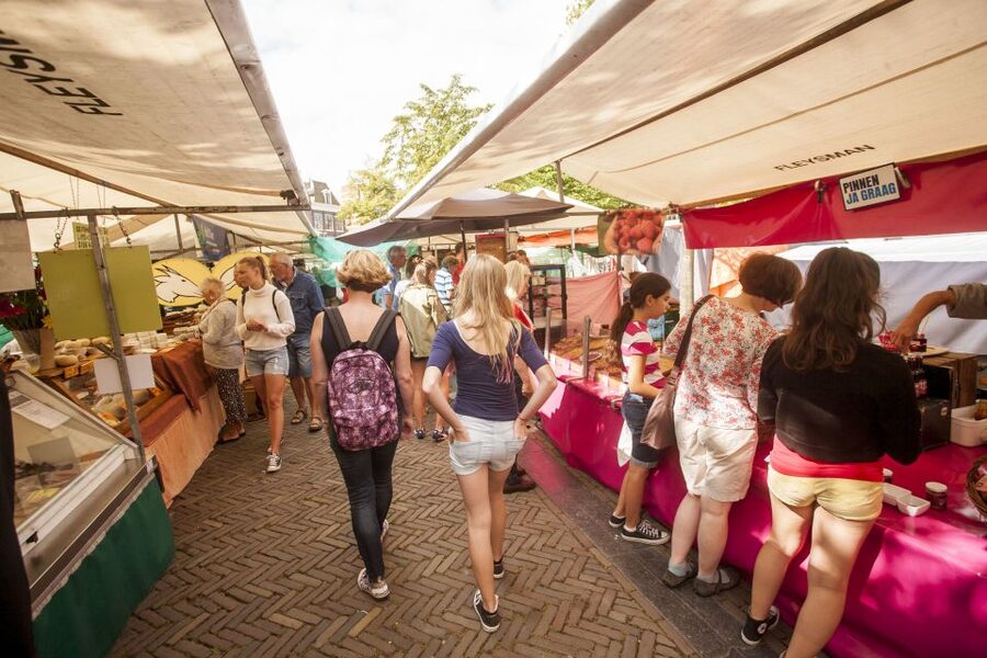 Amsterdam: Hidden Gems & Highlights Guided Bike Tour - Who Should Book This Tour (and Who Should Skip It)