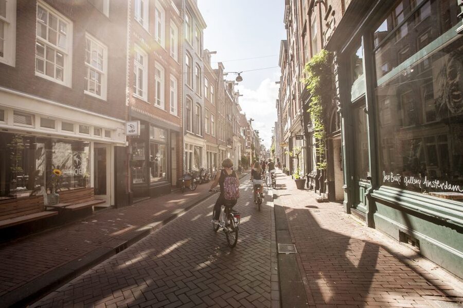 Amsterdam: Hidden Gems & Highlights Guided Bike Tour - Anne Frank’s House Area: A Focused Moment at a Major Landmark