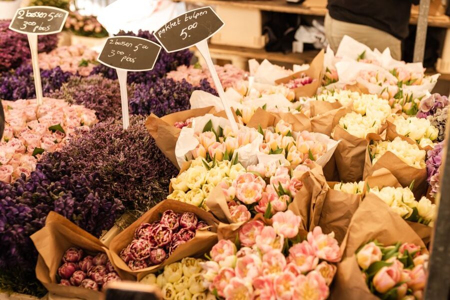 Amsterdam: Highlights & Hidden Gems Private Walking Tour - Bloemenmarkt and the canal-side scent of Amsterdam life