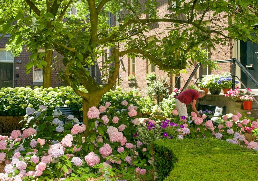 Amsterdam: Jordaan District Tour with a German guide - Hofjes and secret courtyards: the part you will remember
