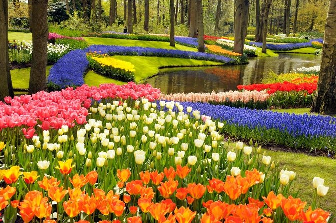 Amsterdam: Keukenhof and Zaanse Schans Windmills Guided Day Trip - Key things I would watch for